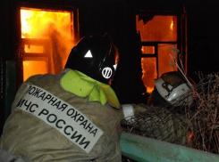 В Грибановском районе на пожаре погибла пенсионерка