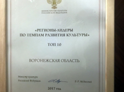 Воронежская область вошла в топ-10 регионов по темпам развития культуры