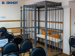 К 20 годам лишения свободы за государственную измену и диверсии приговорили жителя Воронежской области