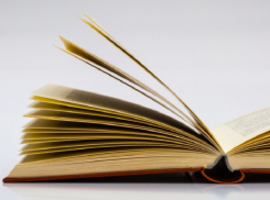 Слово «зумер» стало «Словом года» в уходящем году в России