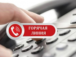 В Воронежской области запустили горячую линию по защите прав работников предпенсионного возраста