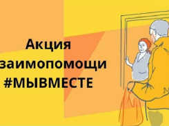 В Поворино набирают волонтеров для доставки продуктов и лекарств пенсионерам