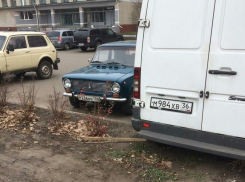 Уничтожение клена нерадивым автомобилистом в Борисоглебске сфотографировала наша подписчица