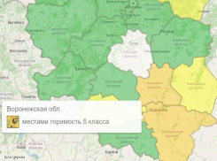 Оранжевый уровень опасности объявлен из-за погоды в Воронежской области