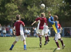 В Воронежской области 2 млрд направлено на развитие спорта