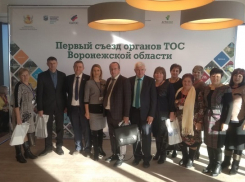Грибановская делегация приняла участие в Первом областном съезде органов ТОС