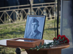  В Терновском районе перезахоронили останки советского воина