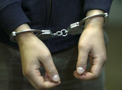 На территории Воронежской области в этом году было задержано 18 международных преступников