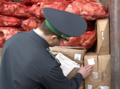 В Воронежской области снова борются с фальсификацией продовольственных продуктов