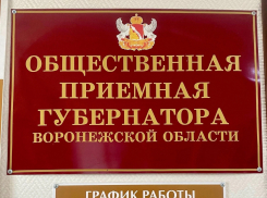 «Почему не несет ответственности глава администрации?»: борисоглебский депутат  поднял острые вопросы в приемной губернатора