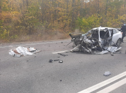 25-летний водитель Ford Focus погиб в ДТП с тремя автомобилями в Грибановском районе
