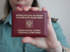 Десятки борисоглебцев узнали о своих долгах