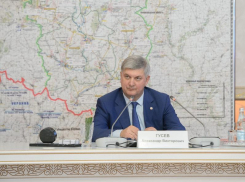 Александр Гусев пообещал снять все ковидные ограничения для экономики в Воронежской области
