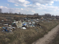 Очередную стихийную свалку сфотографировали под Борисоглебском