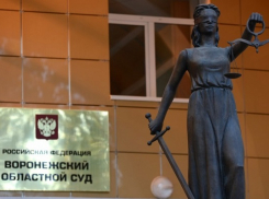 В Воронеже обсудили «забракованных» судей и выросшую подростковую преступность
