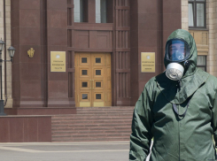 Правительство Воронежской области зачистят от крыс