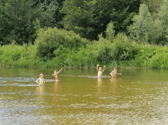 С 33-градусного зноя начнется август в Воронежской области