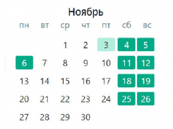 Трёхдневные выходные ожидают в начале ноября борисоглебцев