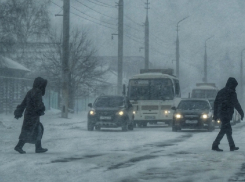Спасатели предупредили о сильном ветре и мокром снеге в Воронежской области