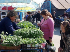 Жителей Воронежской области будут штрафовать за продажу семян и рассады