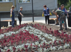 В Поворино в честь 150-летия города высадили 6,3 тыс. цветов