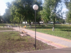 В одном из сел Грибановского района высадили около 100 деревьев 