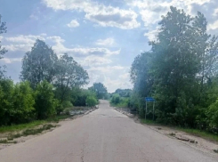 Движение по низководному мосту через реку Ворона открыли в Грибановском районе