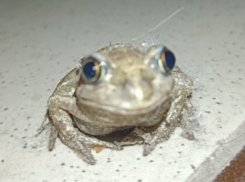 Похолодание придет в Борисоглебск на короткой рабочей неделе