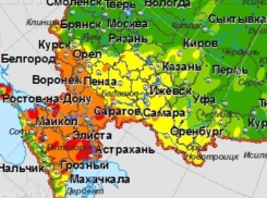 Риск пожаров в Воронежской области назвали высоким