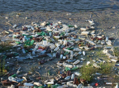 Воронежские волонтеры исследовали мусор на берегах водоемов региона