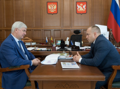 Павел Чибисов отчитался о развитии Терновского района перед губернатором