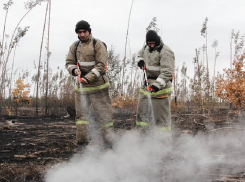 Полыхавший более суток пожар под Борисоглебском ликвидирован