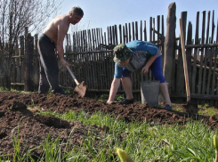 В этом году жителей Воронежской области ждут самые короткие майские праздники