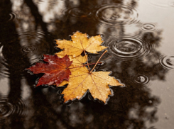 Автомобилистов призвали к осторожности в связи с ухудшением погодных условий в Воронежской области