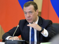 Стало известно, чем займется Дмитрий Медведев в Воронеже