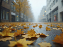 В Воронежской области никак не наступит климатическая осень