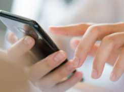 Минцифры включило в «белый список» новые сервисы