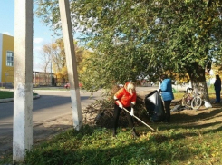В Борисоглебском округе стартует месячник благоустройства