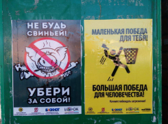 На улицах Борисоглебска появились плакаты, агитирующие за чистоту