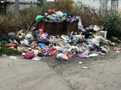 Грибановцы записали видео о вывозе мусора один раз в месяц