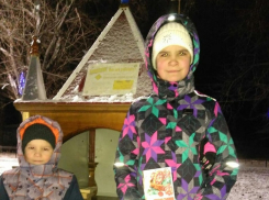 Кому из борисоглебцев в новогоднюю ночь достались мыши от Вячеслава Владимирова