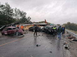 Один человек погиб и восемь госпитализированы в результате массового ДТП под Борисоглебском