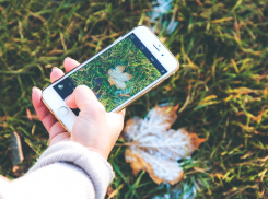 Жительница Борисоглебского округа сняла на камеру мобильного телефона целый фильм