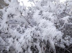 Штормовое предупреждение из-за аномальных холодов объявили в Воронежской области
