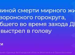 Командира терробороны убили в Черноземье украинские диверсанты 