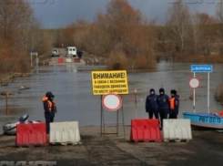 Во время весеннего паводка в Воронежской области затопило 19 мостов