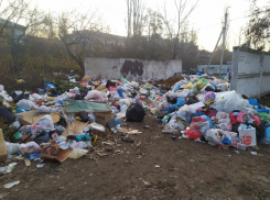 В Борисоглебске завершился месячник благоустройства: стало ли чище? 