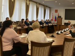 Борисоглебская Дума провела сессию без второй по численности фракции 