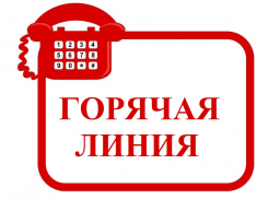 В Воронежской области будет работать горячая линия по вопросам качества детских товаров