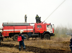 В Воронежской области могут запретить посещение лесов